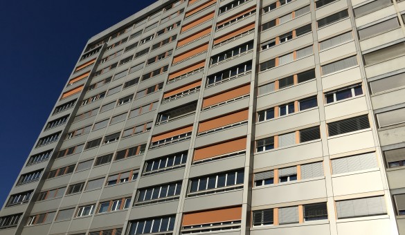 Etoile Palettes